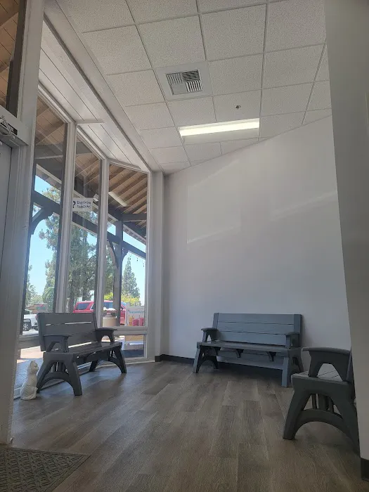PetVets Animal Hospital Picture 3