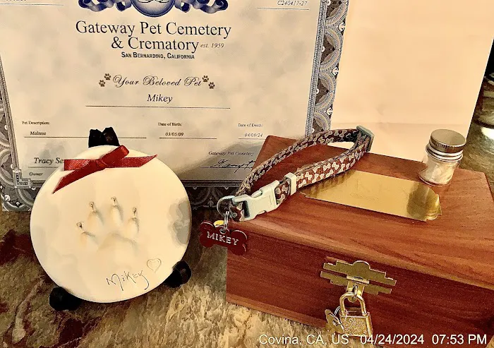Paw In Hand Picture 2