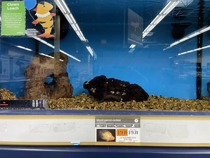 Petco Picture 6