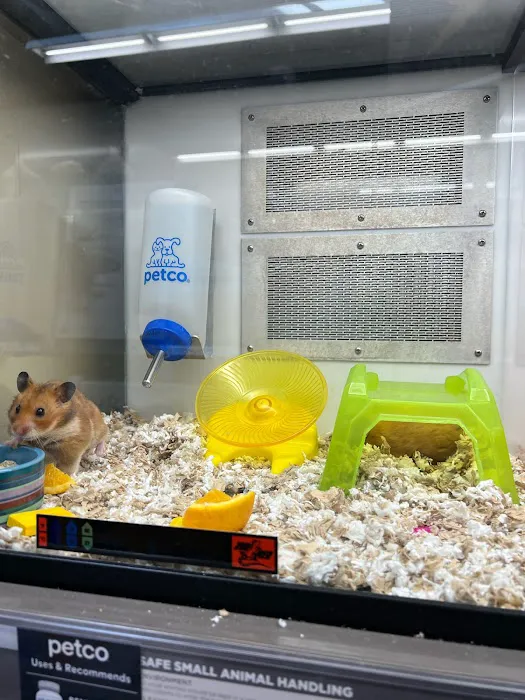 Petco Picture 7