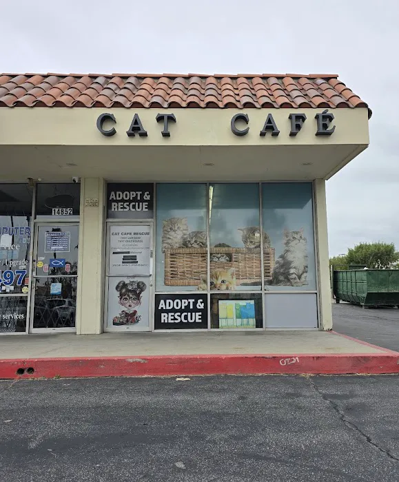 Cat Cafe Rescue Picture 2