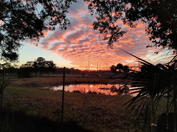 My Backyard Picture 9