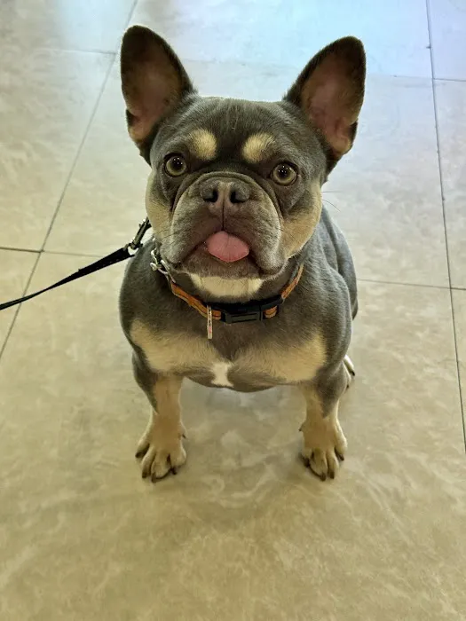 Pets 'N' Vets Animal Hospital Picture 8