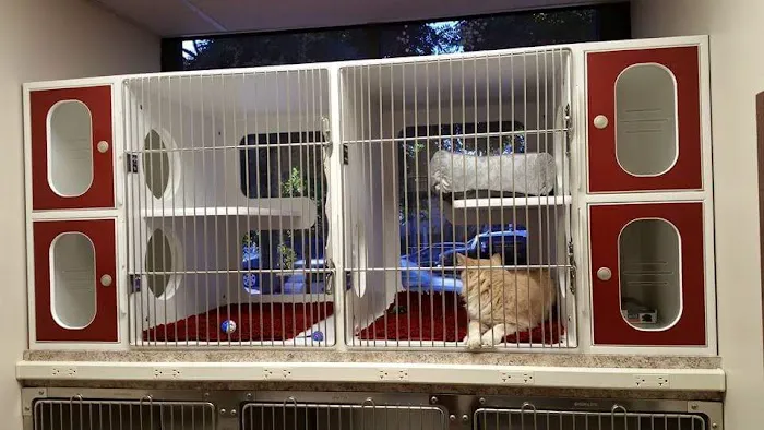 Loving Hands Animal Hospital, Inc Picture 6