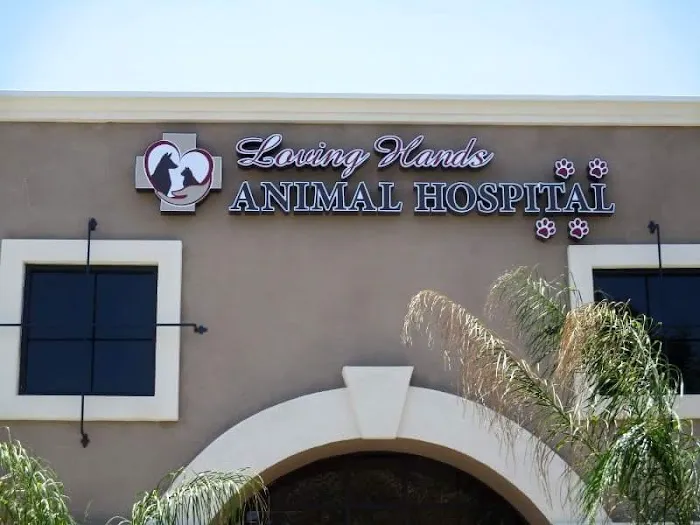 Loving Hands Animal Hospital, Inc Picture 10