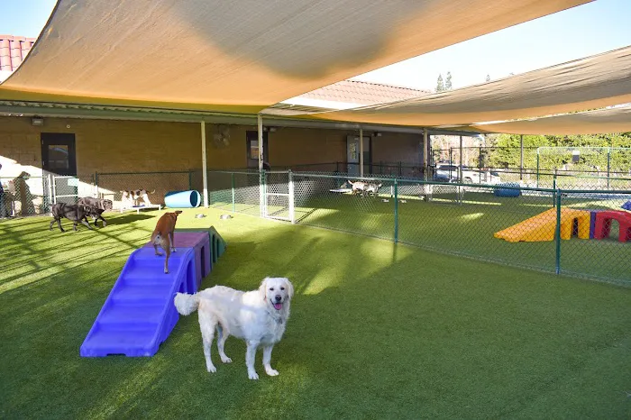 Chino Hills Animal Hospital & Pet Resort Picture 1