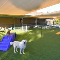 Chino Hills Animal Hospital & Pet Resort ico