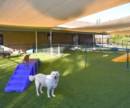 Chino Hills Animal Hospital & Pet Resort