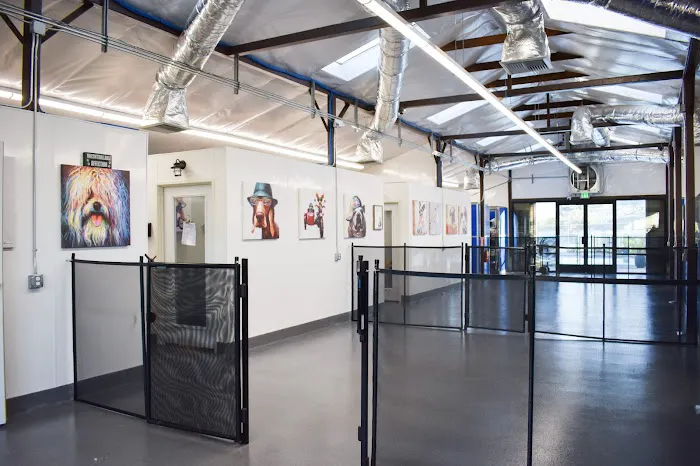 Chino Hills Animal Hospital & Pet Resort Picture 2