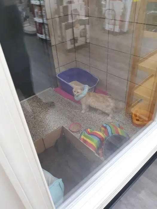 Pets Plus Picture 4