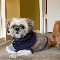 Petco ico