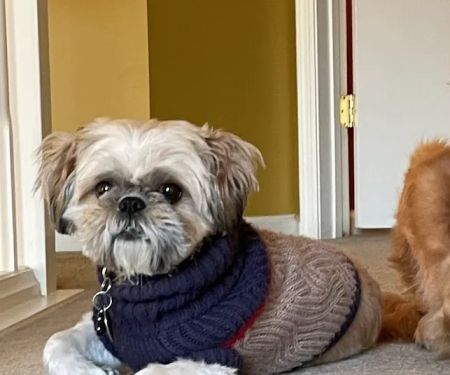 Petco