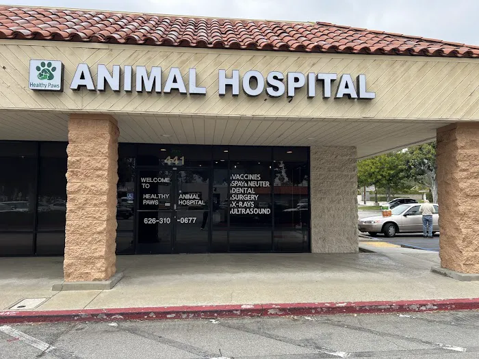 Healthy Paws Animal Hospital Picture 7
