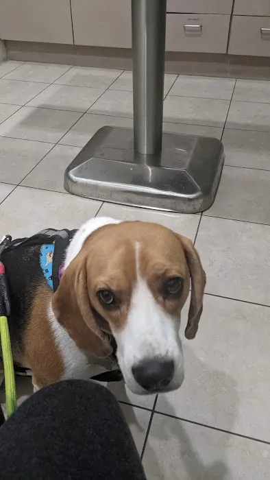 San Dimas Animal Hospital Picture 4