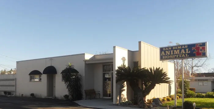 San Dimas Animal Hospital Picture 6
