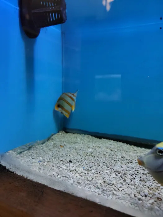 Ocean Aquarium Picture 7