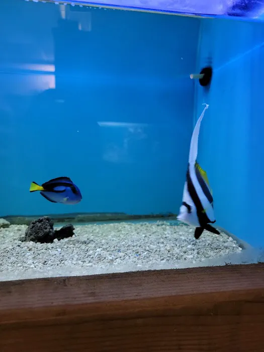 Ocean Aquarium Picture 4