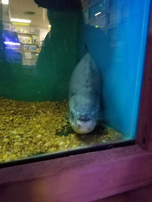 Ocean Aquarium Picture 8