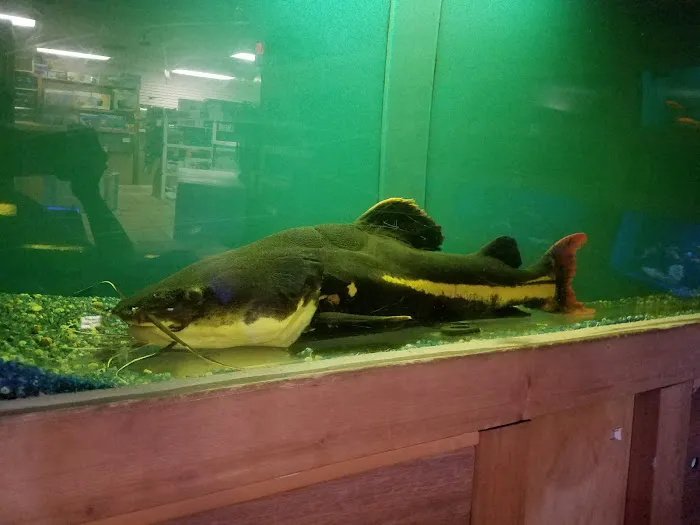 Ocean Aquarium Picture 9