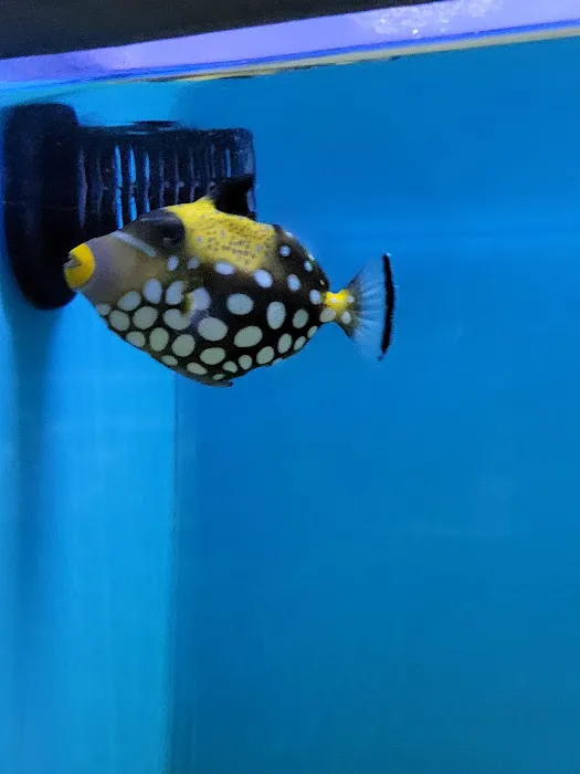 Ocean Aquarium Picture 2