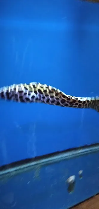 Ocean Aquarium Picture 1