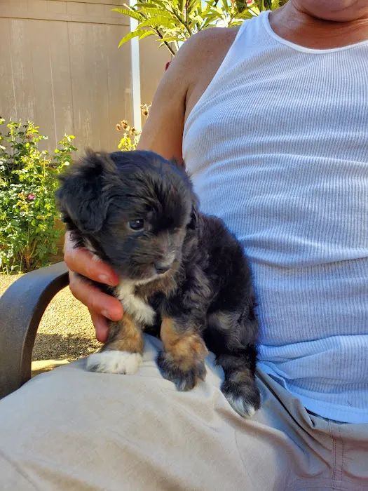 Banfield Pet Hospital Picture 3