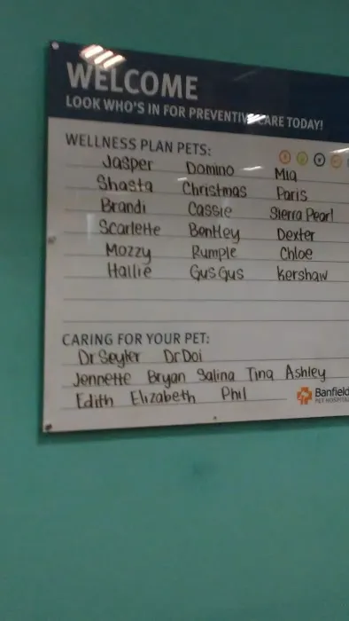 Banfield Pet Hospital Picture 5