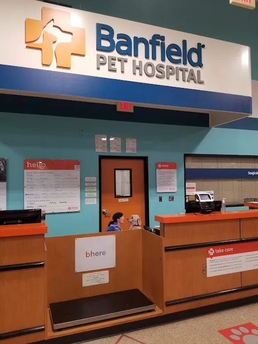 Banfield Pet Hospital Picture 7