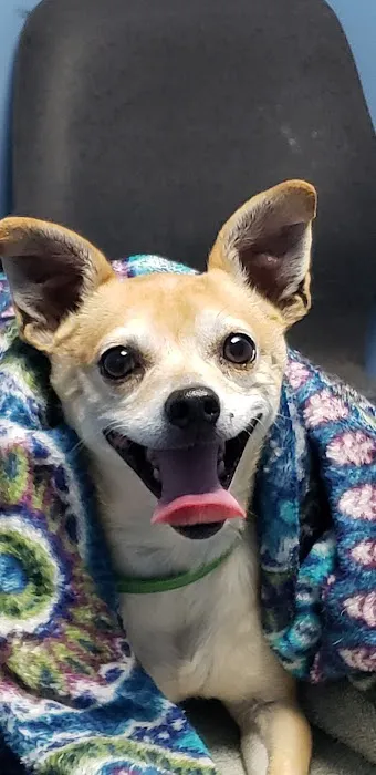 Blue Cross Animal Hospital Picture 3