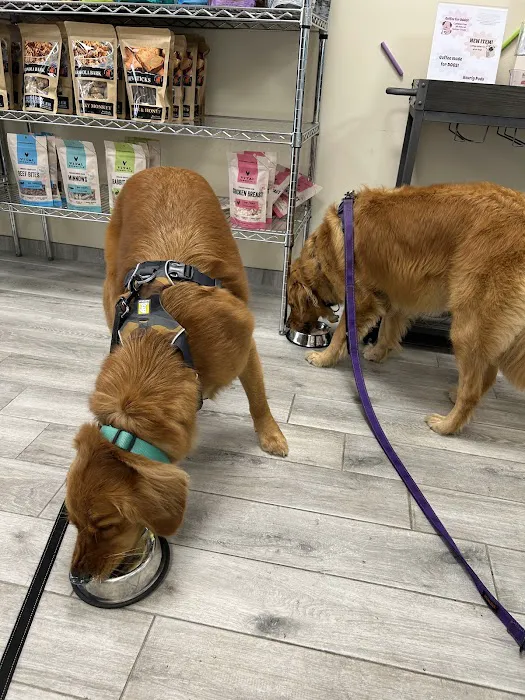 Doggie Beach Boutique Picture 6
