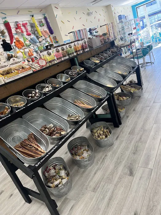 Doggie Beach Boutique Picture 10