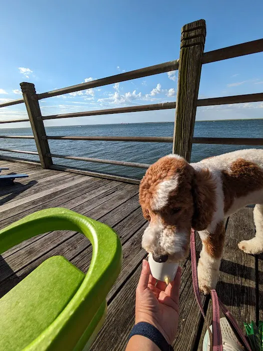 Doggie Beach Boutique Picture 8