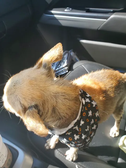 Francis Animal Hospital Picture 8
