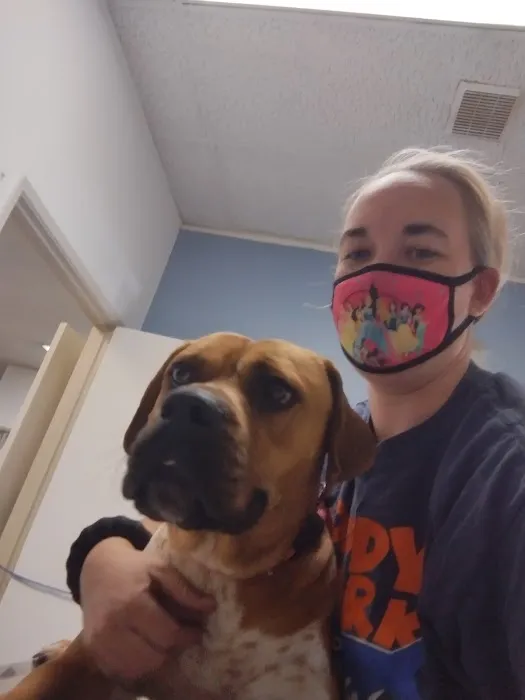 Francis Animal Hospital Picture 9