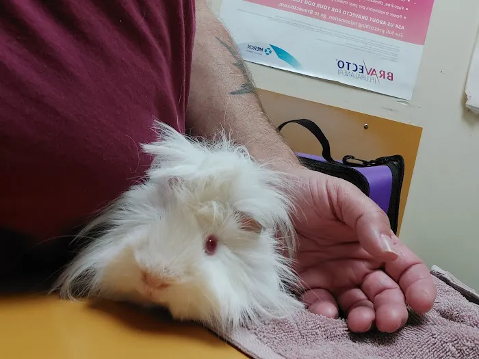 Chaparral Pet Hospital Picture 1