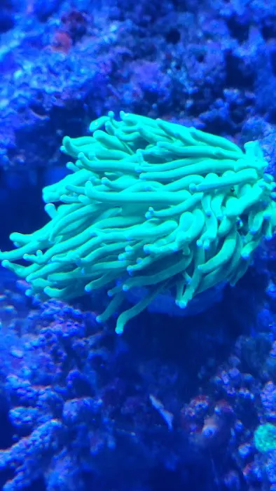 First Choice Aquatics Picture 7