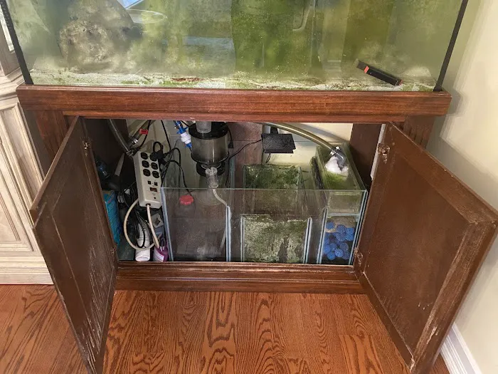 First Choice Aquatics Picture 8