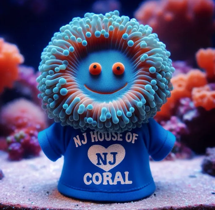 NJ House Of Coral Picture 4