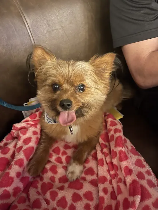 Banfield Pet Hospital Picture 8