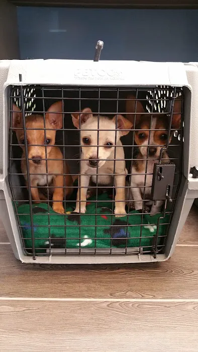 Banfield Pet Hospital Picture 6