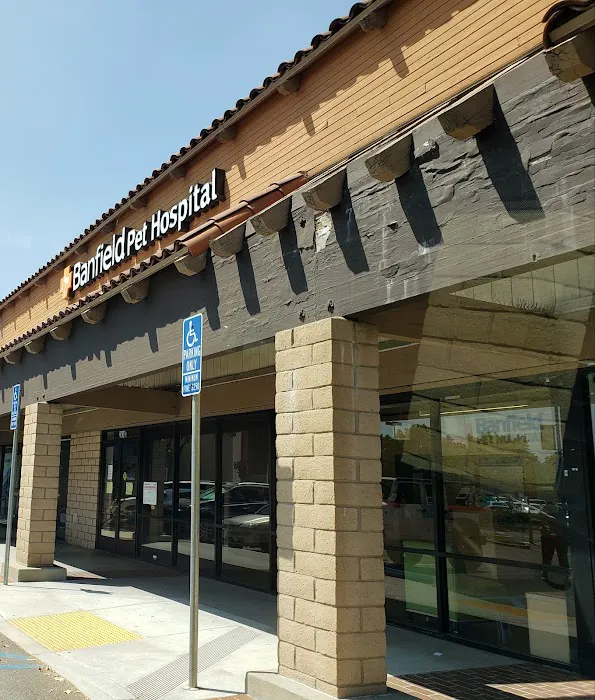 Banfield Pet Hospital Picture 5