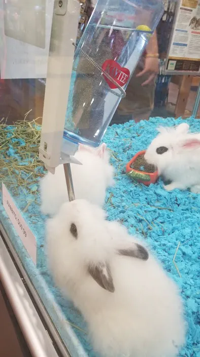 Pets Plus - Lawrenceville Picture 3