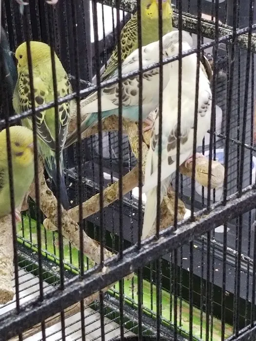 Pets Plus - Lawrenceville Picture 4