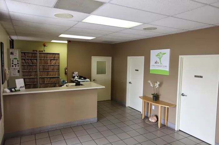 Citrus Veterinary Clinic Picture 3