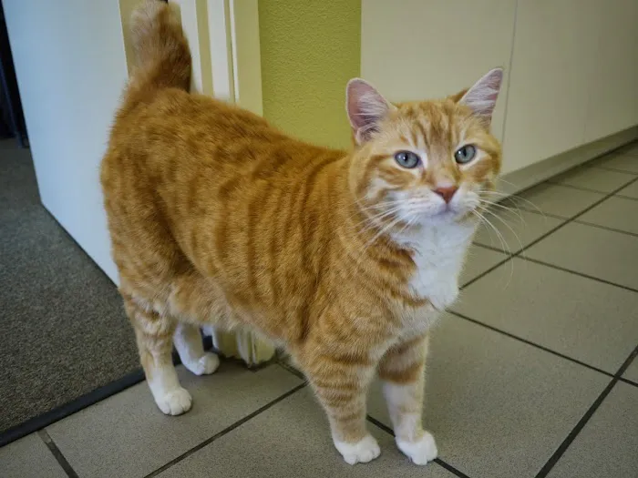 Citrus Veterinary Clinic Picture 4