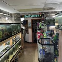 O'FishShell ico