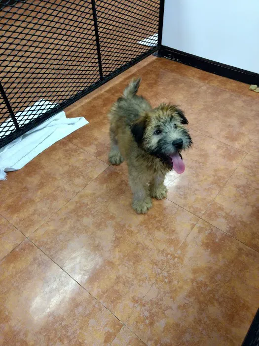 Tropic Pet Center Inc Picture 1