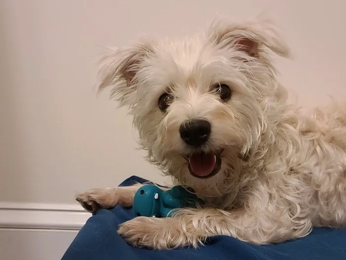 Tropic Pet Center Inc Picture 7