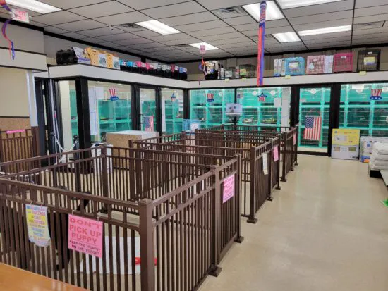 Tropic Pet Center Inc Picture 10