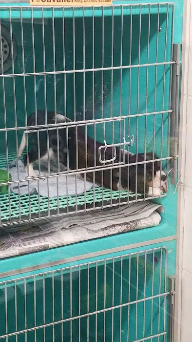 Tropic Pet Center Inc Picture 2